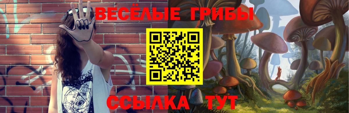 Псилоцибиновые грибы прущие грибы Коряжма